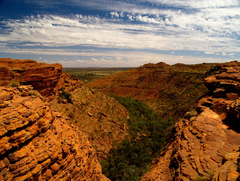 Experience a day trip to Kings Canyon from Ayers Rock (Uluru) and discover stunning landscapes