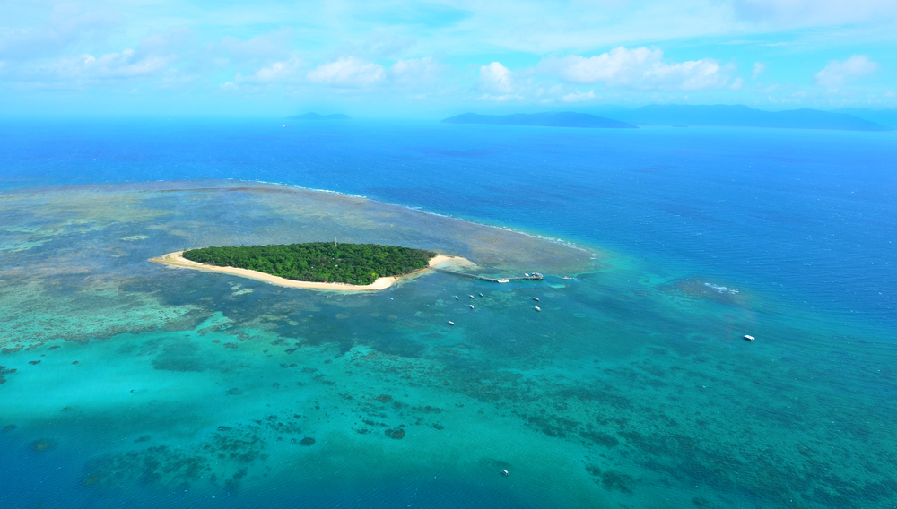 Embark on a snorkeling and diving cruise from Cairns to explore the Great Barrier Reef