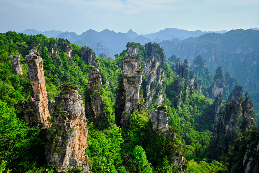 Explore Zhangjiajie National Forest Park in China’s Hunan Province, known for its towering sandstone pillars, lush landscapes, and being the inspiration for the floating mountains in the movie Avatar