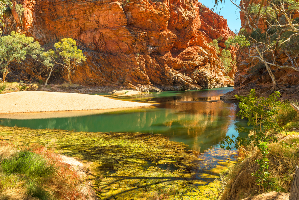 Explore the stunning Standley Chasm Angkerle on a one-day tour from Alice Springs