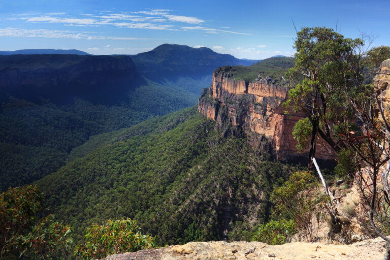 Explore the beauty of Blue Mountains National Park and visit Sydney Zoo for wildlife encounters