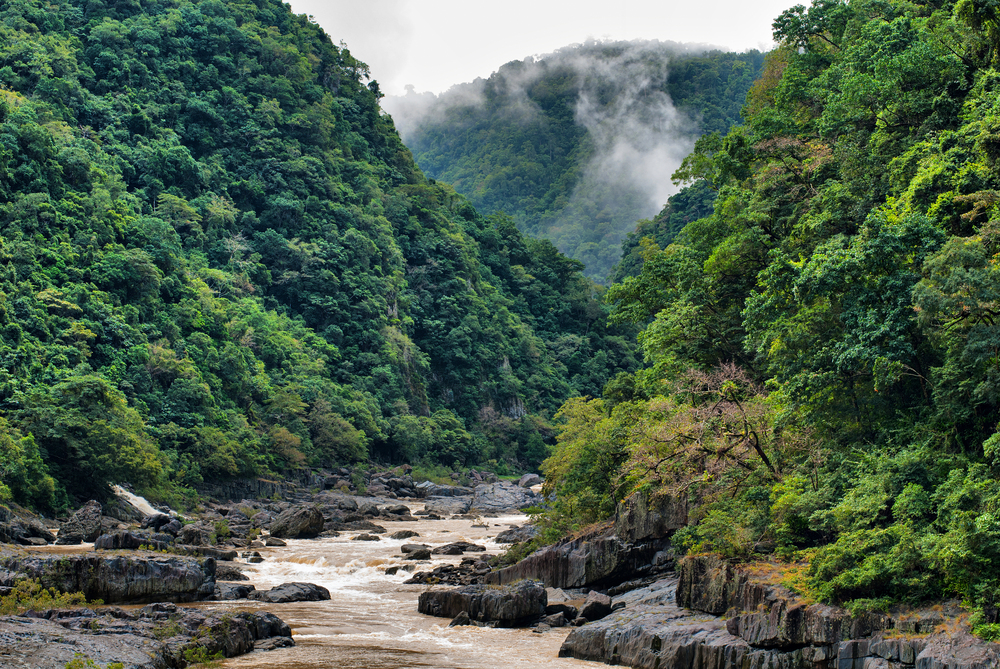 Group white water rafting on the Barron River with lush rainforest in the background near Cairns, Australia