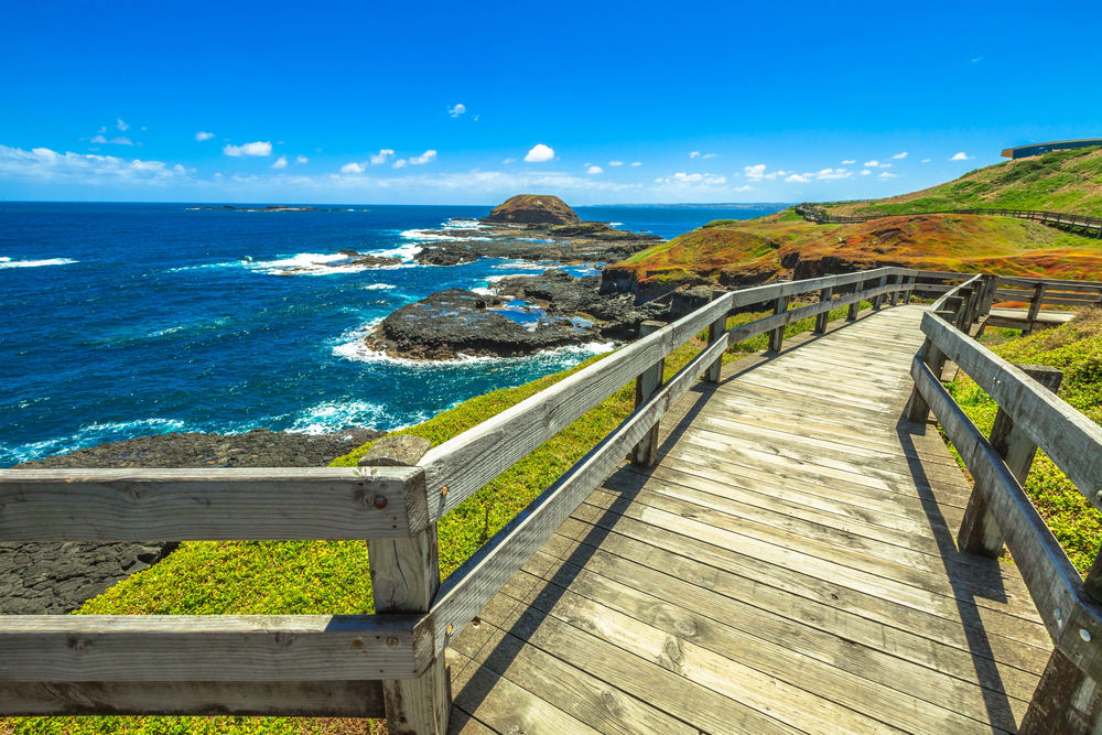 Puffing Billy steam train crossing a trestle bridge surrounded by forest, and little penguins walking on the beach at Phillip Island, Australia