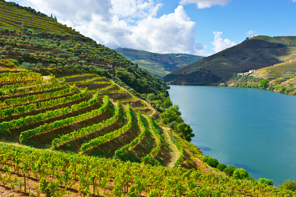 Portugal Douro valley unmissable experiences